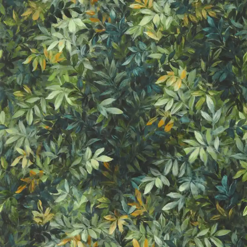 Congo Forest - W0140/03 Begränsad tid