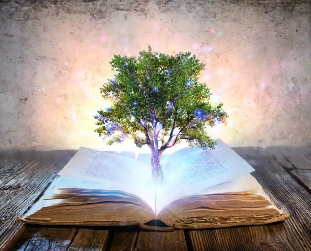 Outlet Tree Growing From The Old Book - Shining And Magic Lights