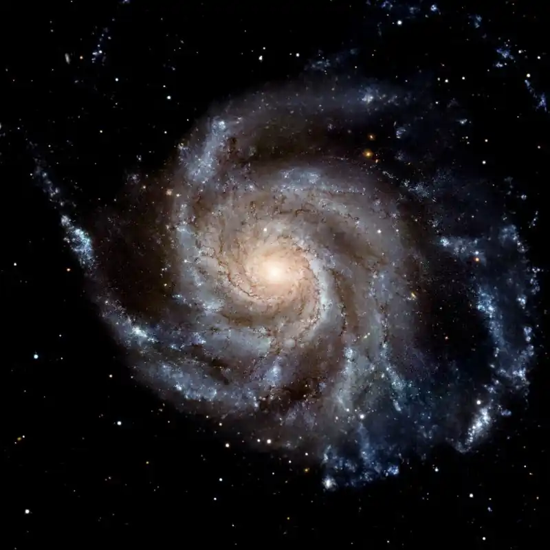 View image of Galaxy system isolated Elements of this image furnished by NASA Sista chansen