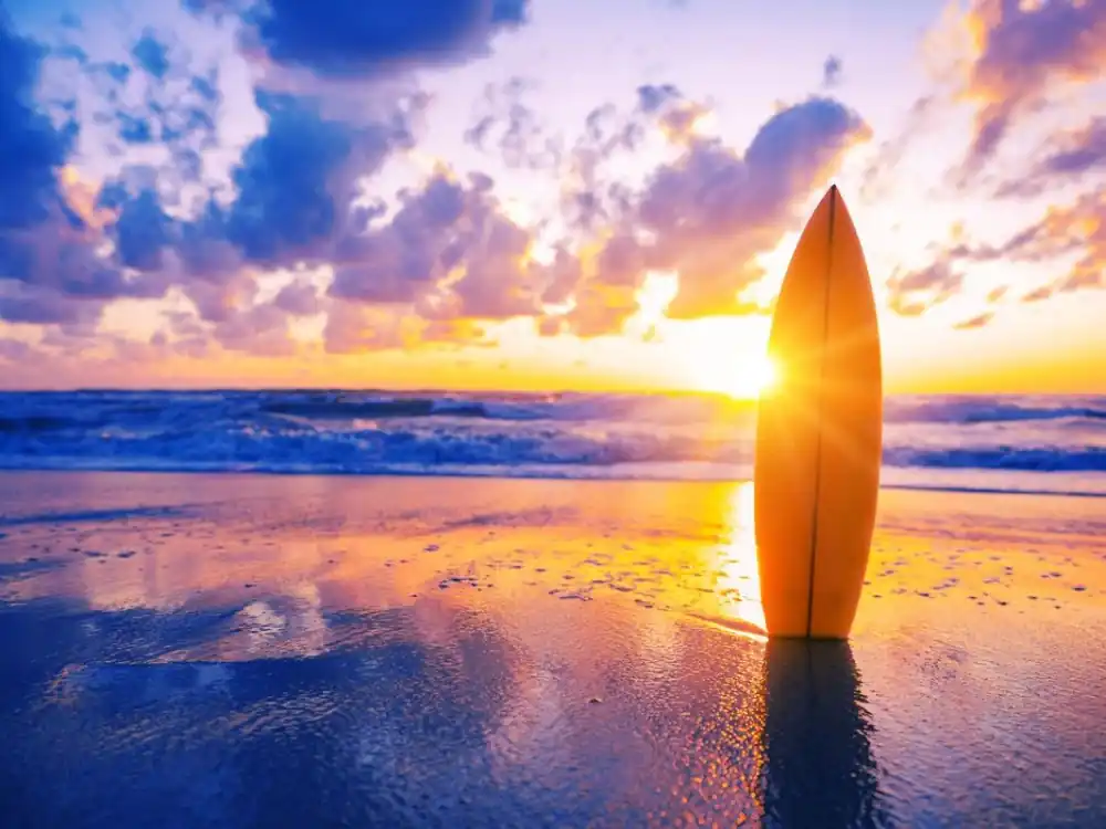 Surfboard on the beach at sunset Erbjudande
