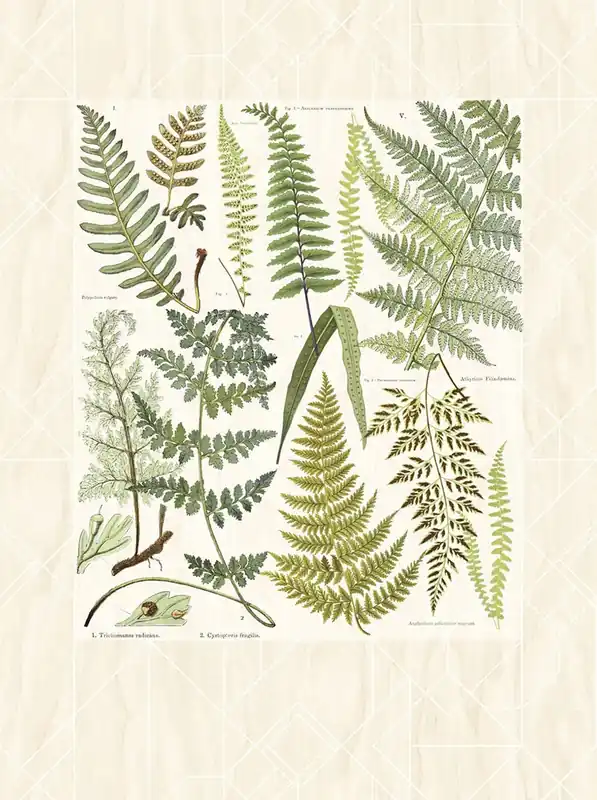 Eijffinger Intrade - Geonature Nyhet