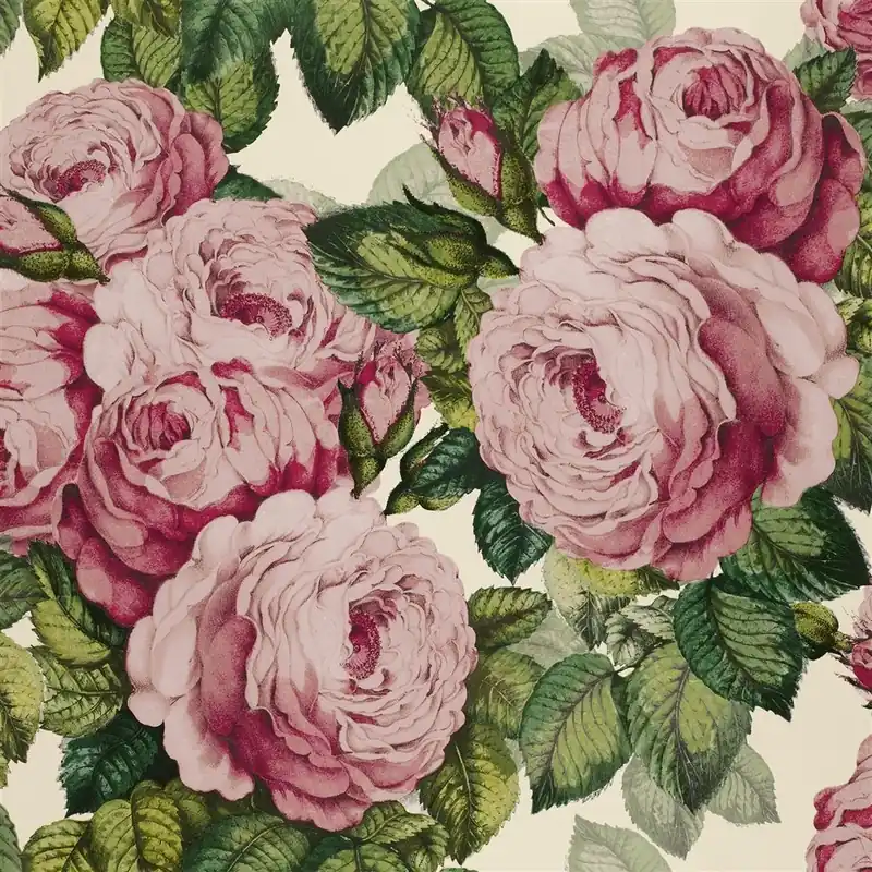 Rabatt The Rose Picture Book Wallpapers I