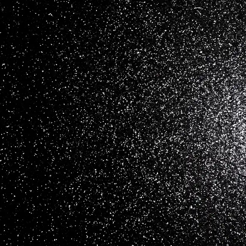 Sequin Sparkle Black Kundfavorit
