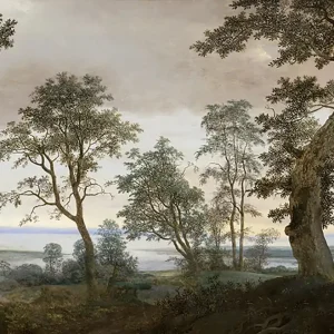 Eijffinger Intrade - Vista Sunrise Kundfavorit